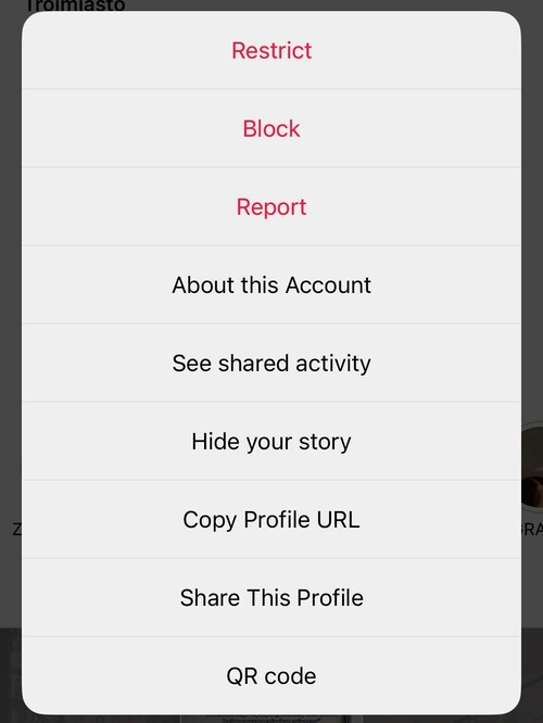 Fake Instagram Accounts - instagram profile menu