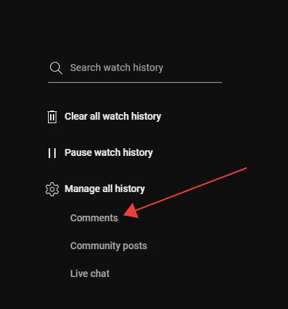 YouTube Comment History - managing comment history
