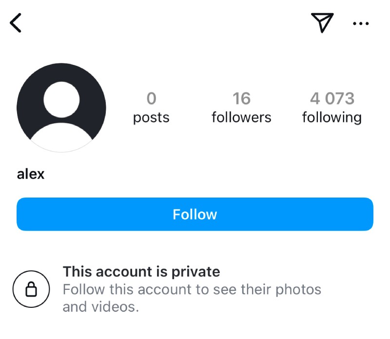 Fake Instagram Accounts - example of an account that follows a lot of people