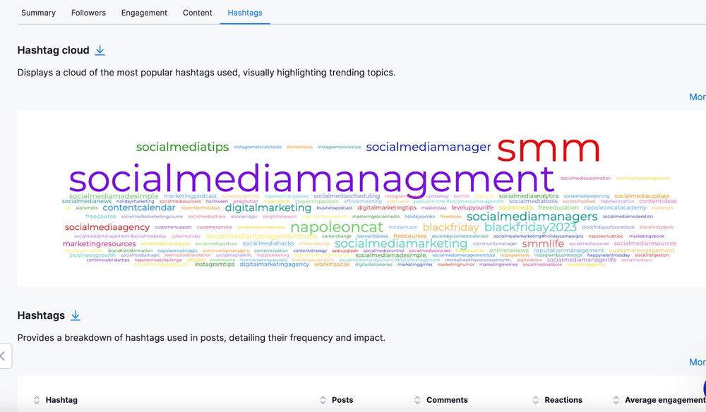 Instagram competitor analysis - hashtag cloud in NapoleonCat