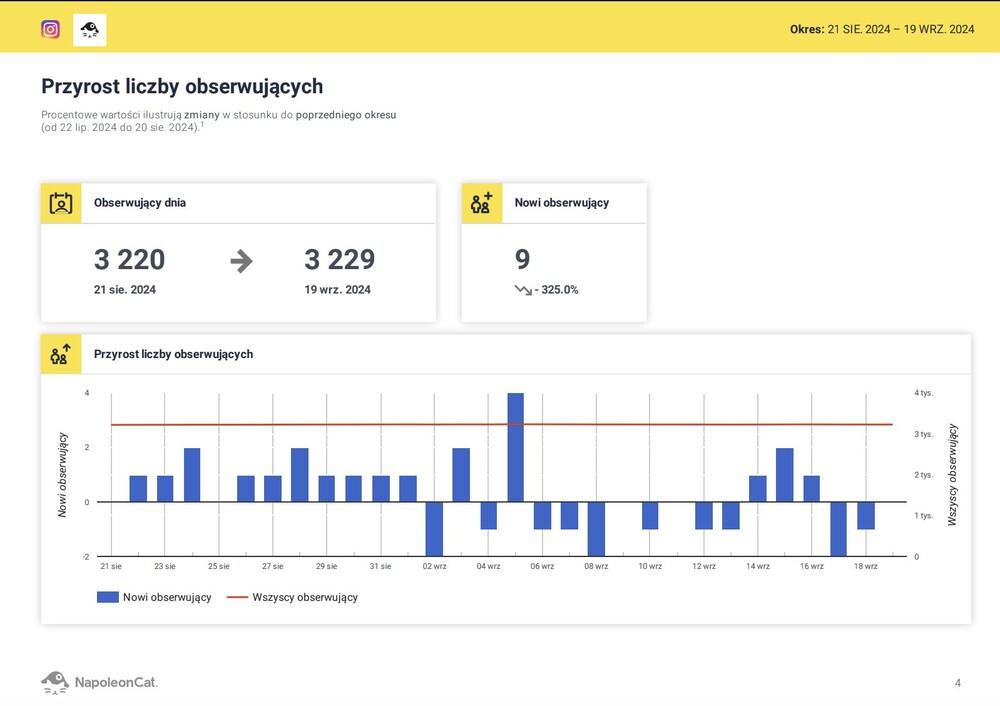 Jak zarządzać wieloma kontami na Instagramie - raport wygenerowany w NapoleonCat