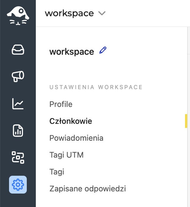 Jak Prezentować Dane z Mediów Społecznościowych Klientom - ustawienia workspace