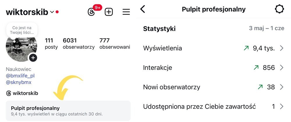 Zawartość pulpitu profesjonalnego na Instagramie - analiza statystyk