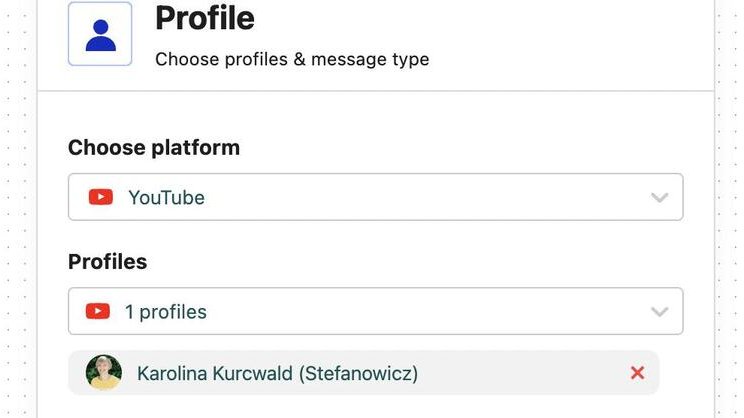 Auto-moderation profile section.