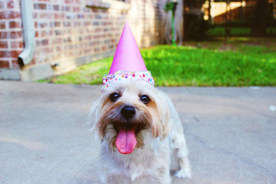 Birthday captions for Instagram - Birthday Instagram Captions Inspired by Quotes