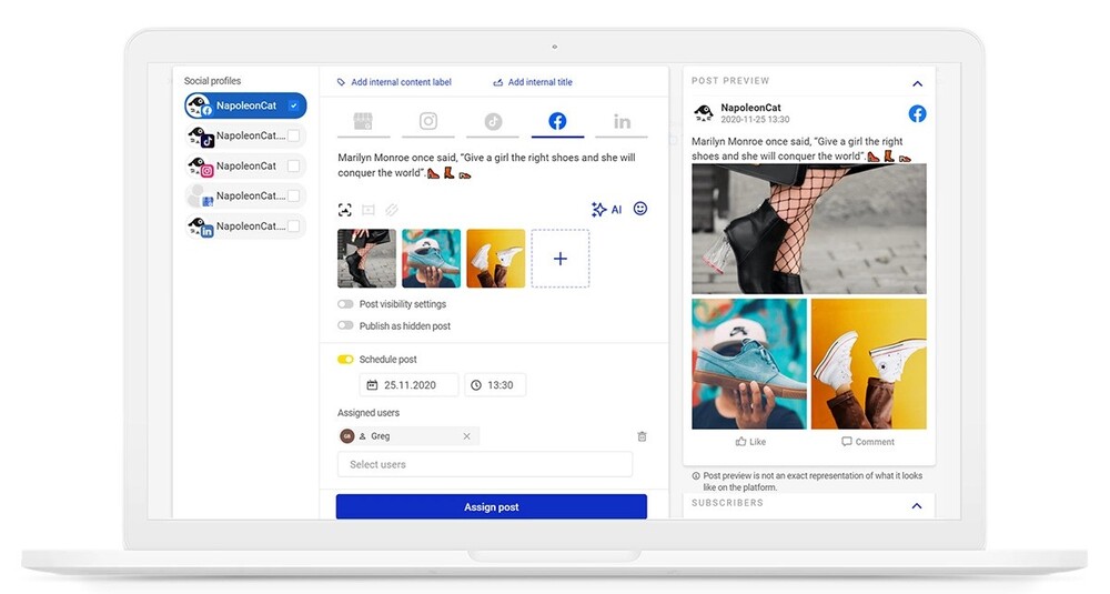 NapoleonCat's Publisher.