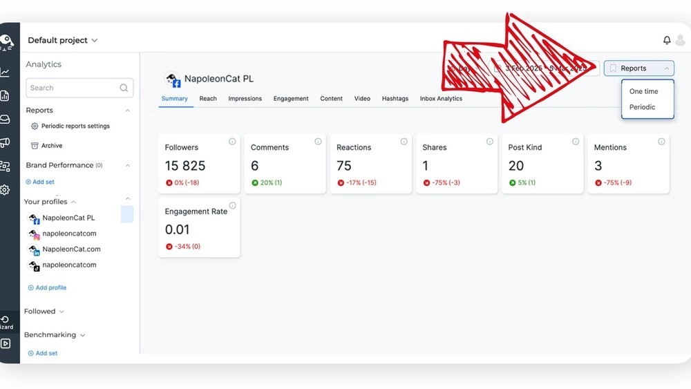 Generating TikTok Reports in NapoleonCat