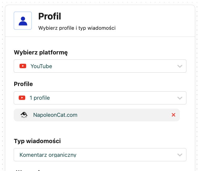 Wybierz YouTube jako platformę w menu Auto-moderacji