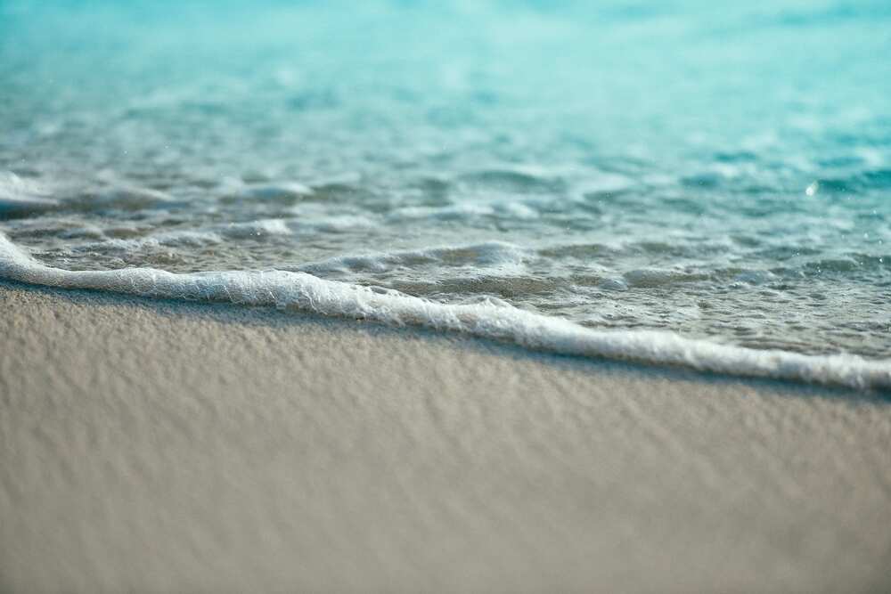 Beach captions for Instagram - Beach Quotes from Movies
