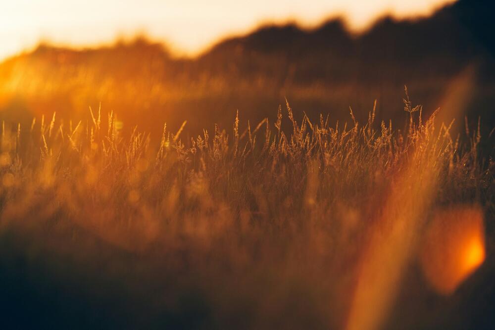 Golden hour captions - Golden Hour Captions for Guys