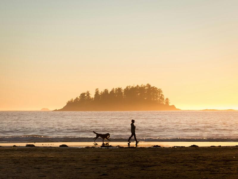 Golden hour captions - One-Word Golden Hour Captions