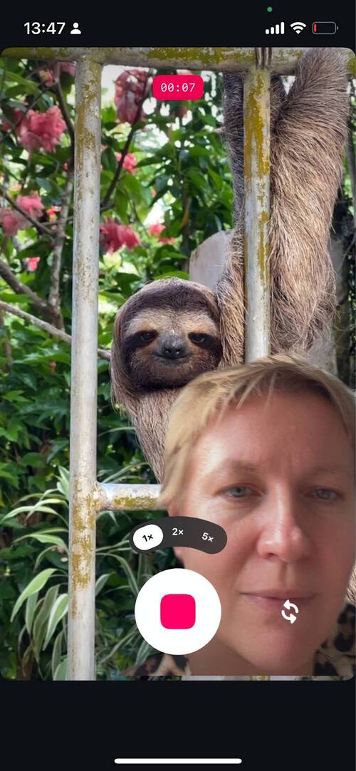 Green screen feature in Edits app