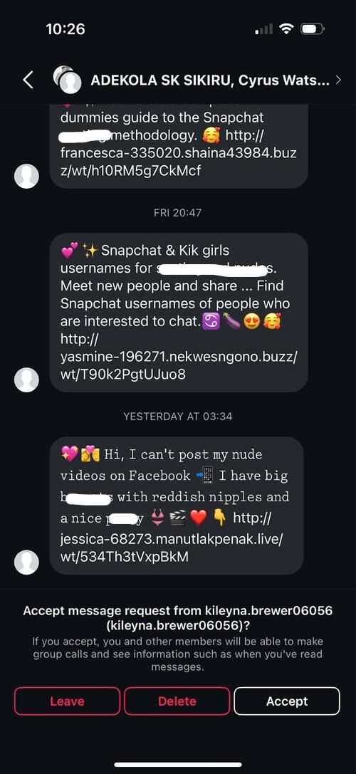 Instagram spam group screenshot - example 1