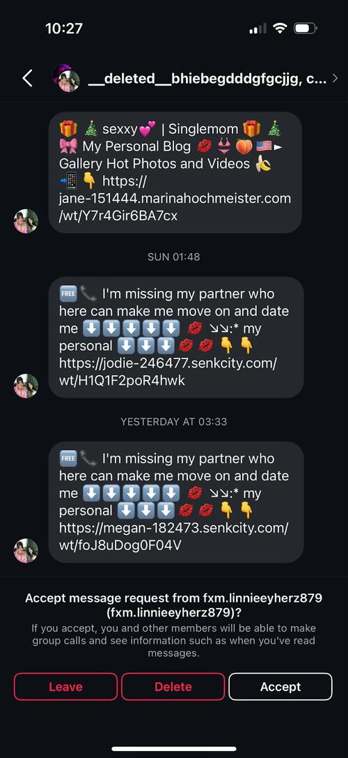 Instagram spam group screenshot - example 2