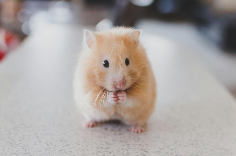 Sunday captions for Instagram - Cute Short Sunday Captions for Instagram