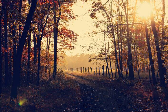 Autumn captions - Aesthetic Autumn Captions