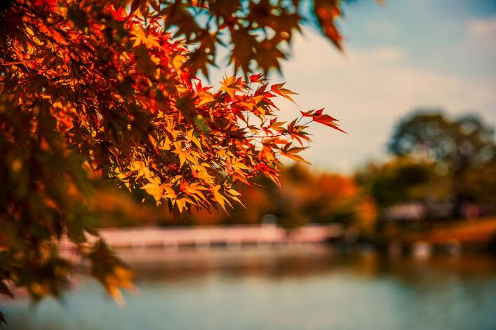 Autumn captions - Autumn Captions Inspired by Songs