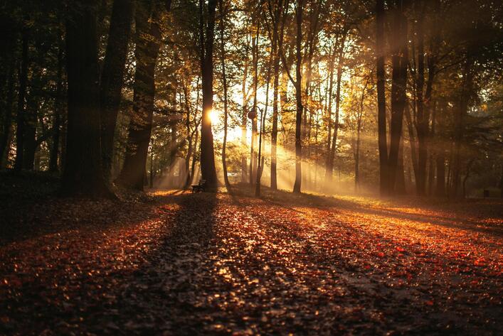 Autumn captions - Autumn Motivation Captions for Instagram