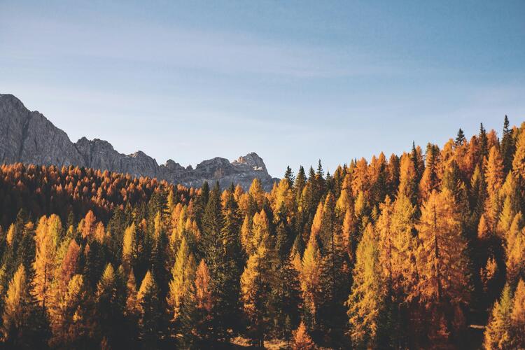 Autumn captions - Best Autumn Captions for Instagram