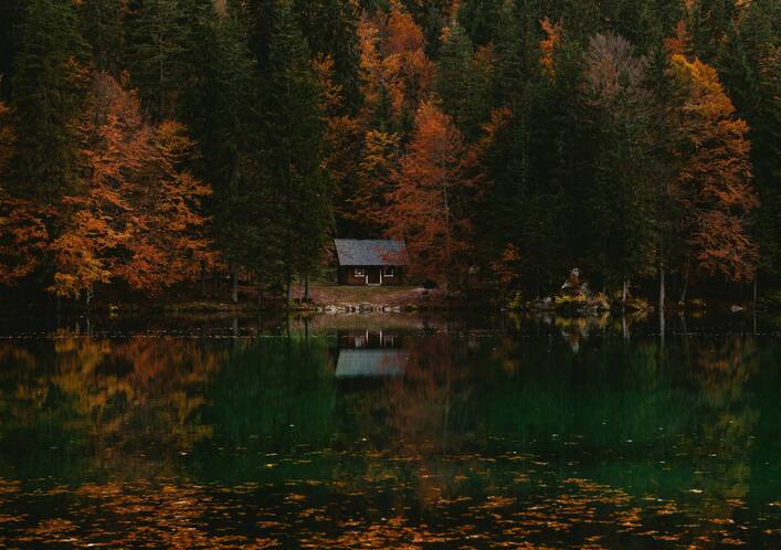 Autumn captions - Savage Autumn Captions for Instagram