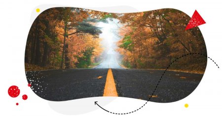 330 Best Autumn Captions for Instagram in 2025