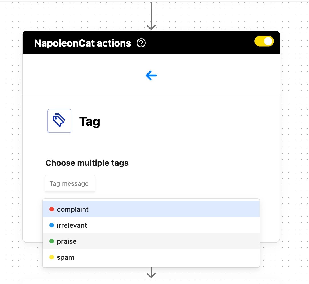 Choosing custom tags in NapoleonCat actions.