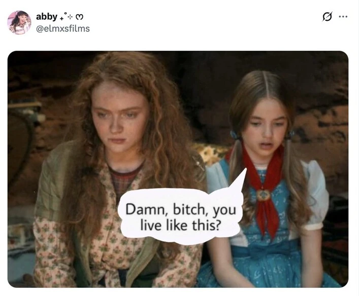 Stranger things season 5 social media meme