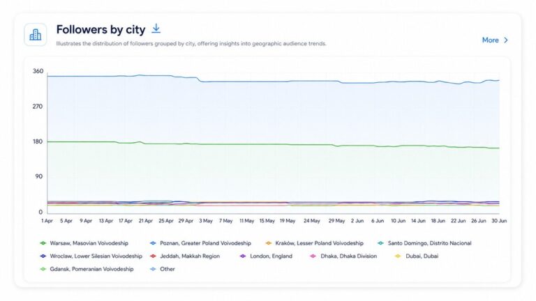Instagram followers demographics – Instagram followers by city in NapoleonCat analytics