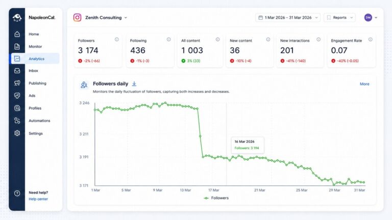 Instagram followers demographics – daily Instagram follower gains and losses on a chart